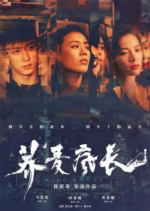 山东省高中毕业证真本图2003年